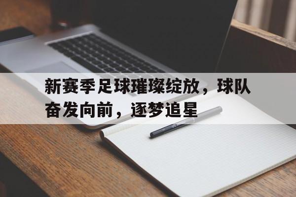 新赛季足球璀璨绽放，球队奋发向前，逐梦追星的简单介绍